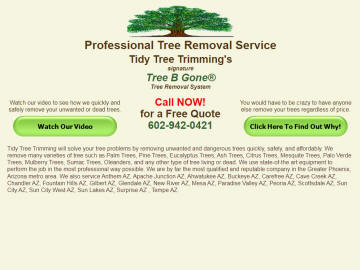 Click For More Information About Tidy Tree Trimming's Website